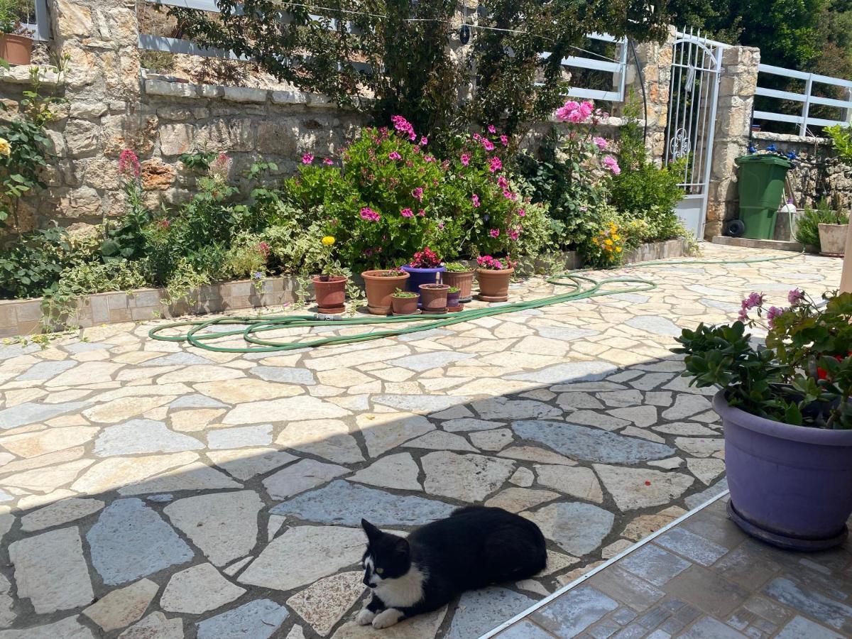 Hotel Vila Aleks