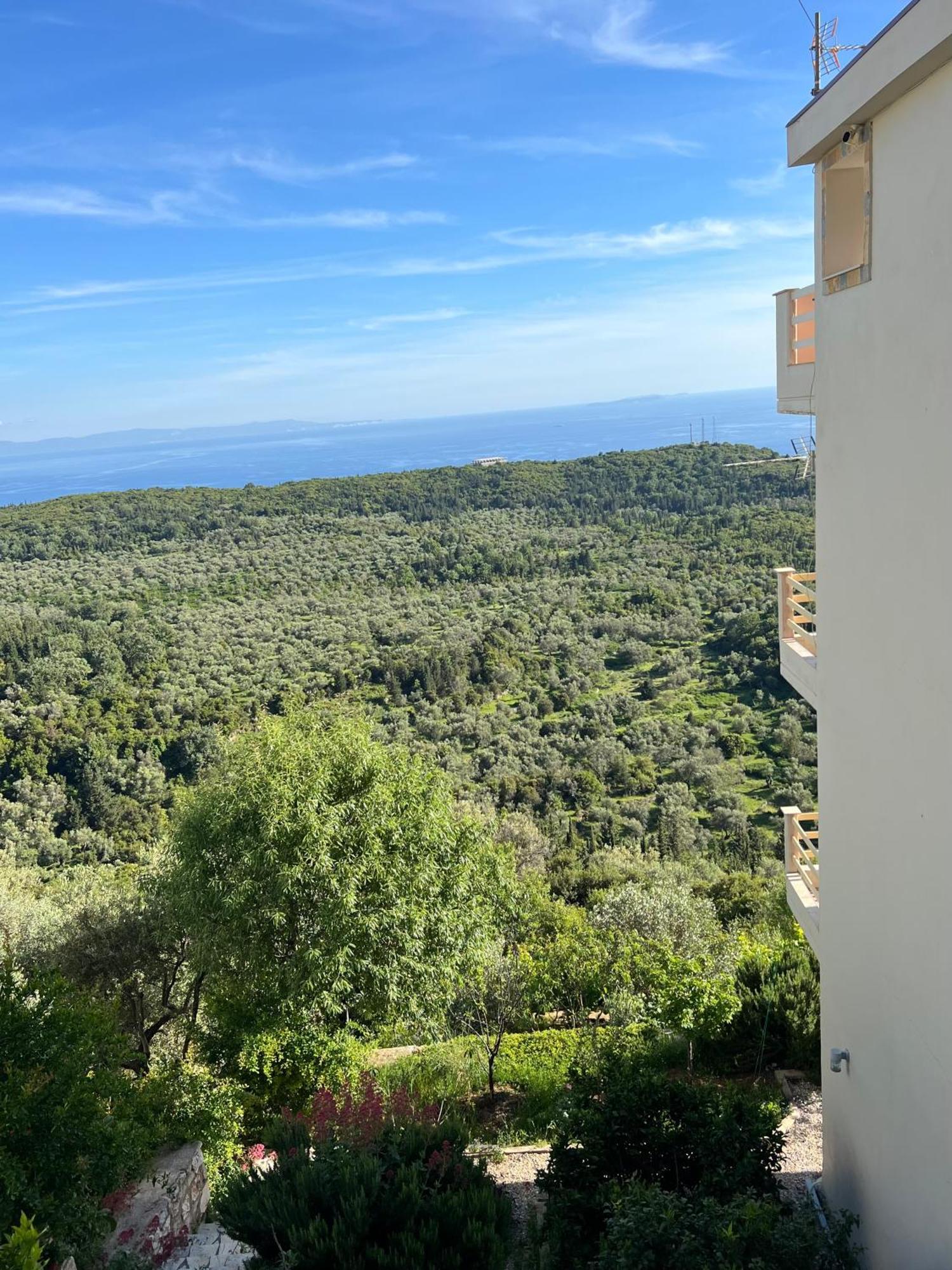 Vila Aleks Vuno